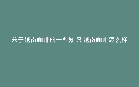 关于越南咖啡的一些知识（越南咖啡怎么样）