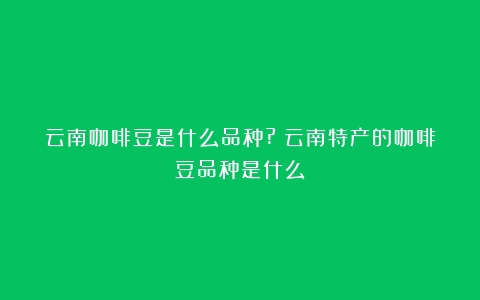 云南咖啡豆是什么品种?（云南特产的咖啡豆品种是什么）