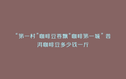 “第一村”咖啡豆香飘“咖啡第一城”（普洱咖啡豆多少钱一斤）