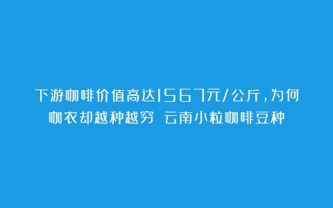 下游咖啡价值高达1567元/公斤，为何咖农却越种越穷？（云南小粒咖啡豆种）