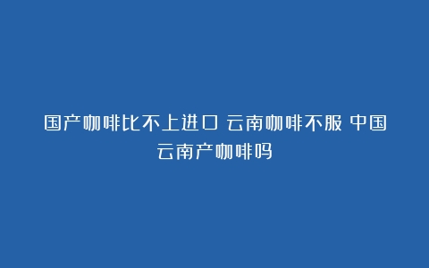 国产咖啡比不上进口？云南咖啡不服（中国云南产咖啡吗）