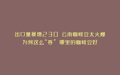 出口量暴增230%！云南咖啡豆太火爆！为何这么“香”？（哪里的咖啡豆好）