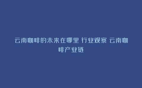 云南咖啡的未来在哪里？行业观察（云南咖啡产业链）