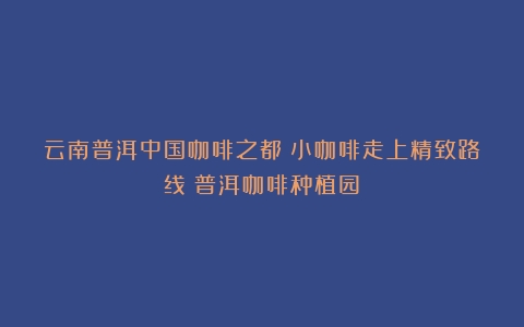 云南普洱中国咖啡之都：小咖啡走上精致路线（普洱咖啡种植园）