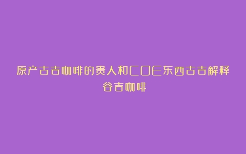 原产古吉咖啡的贵人和COE东西古吉解释（谷吉咖啡）