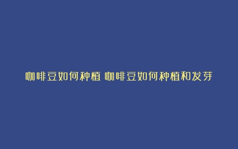 咖啡豆如何种植（咖啡豆如何种植和发芽）