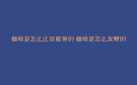 咖啡是怎么让你疲倦的（咖啡是怎么发酵的）