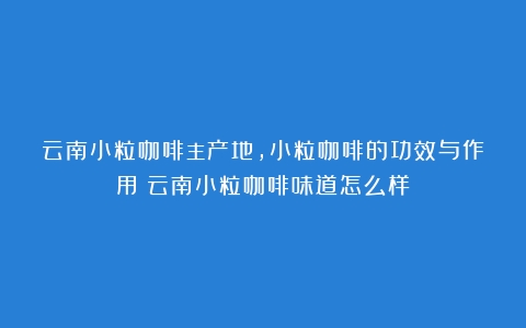 云南小粒咖啡主产地，小粒咖啡的功效与作用（云南小粒咖啡味道怎么样）