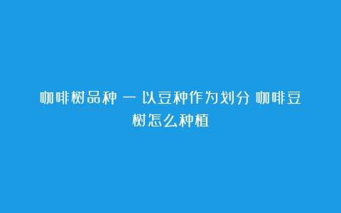 咖啡树品种（一）以豆种作为划分（咖啡豆树怎么种植）