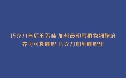 巧克力背后的苦味：加州最初用植物细胞培养可可和咖啡（巧克力加到咖啡里）