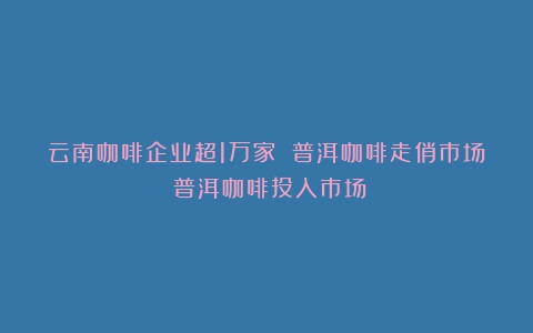 云南咖啡企业超1万家 普洱咖啡走俏市场（普洱咖啡投入市场）