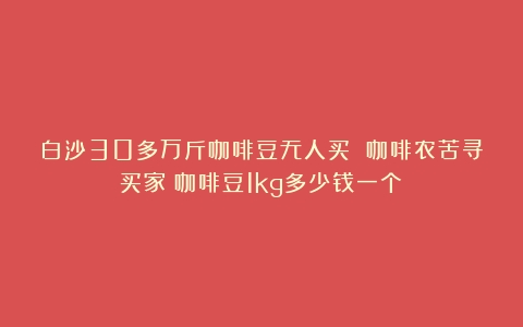 白沙30多万斤咖啡豆无人买 咖啡农苦寻买家（咖啡豆1kg多少钱一个）