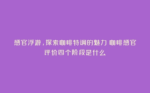 感官浮游，探索咖啡特调的魅力（咖啡感官评价四个阶段是什么）