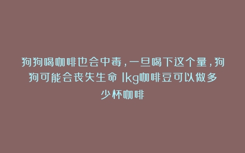 狗狗喝咖啡也会中毒，一旦喝下这个量，狗狗可能会丧失生命（1kg咖啡豆可以做多少杯咖啡）