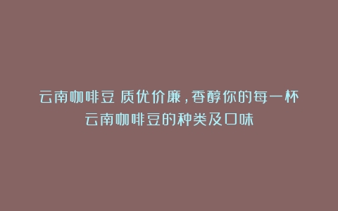 云南咖啡豆：质优价廉，香醇你的每一杯（云南咖啡豆的种类及口味）