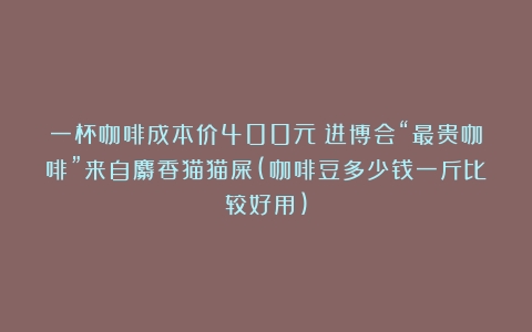 一杯咖啡成本价400元！进博会“最贵咖啡”来自麝香猫猫屎(咖啡豆多少钱一斤比较好用)