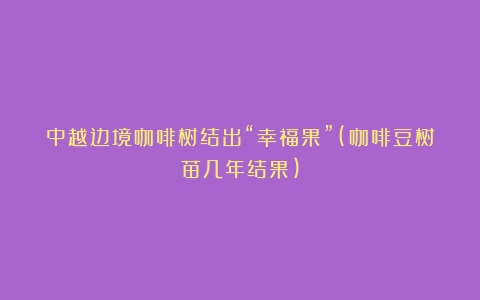 中越边境咖啡树结出“幸福果”(咖啡豆树苗几年结果)