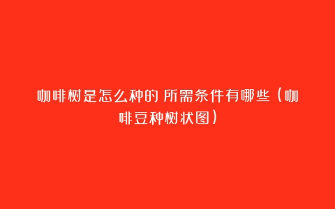 咖啡树是怎么种的？所需条件有哪些？(咖啡豆种树状图)