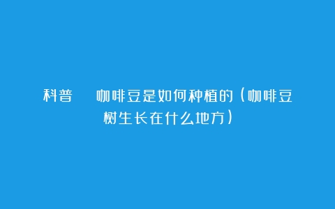 科普 | 咖啡豆是如何种植的？(咖啡豆树生长在什么地方)