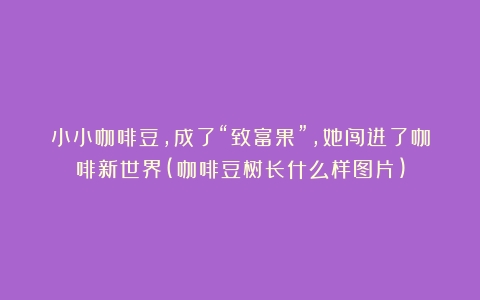 小小咖啡豆，成了“致富果”，她闯进了咖啡新世界(咖啡豆树长什么样图片)