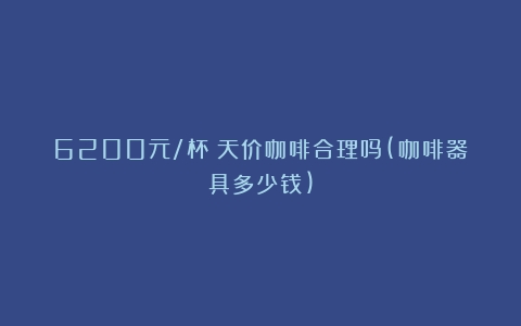 6200元/杯！天价咖啡合理吗(咖啡器具多少钱)