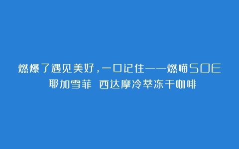 燃爆了遇见美好，一口记住——燃喵SOE 耶加雪菲 西达摩冷萃冻干咖啡