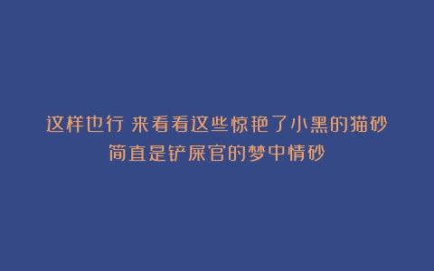 这样也行？来看看这些惊艳了小黑的猫砂！简直是铲屎官的梦中情砂！