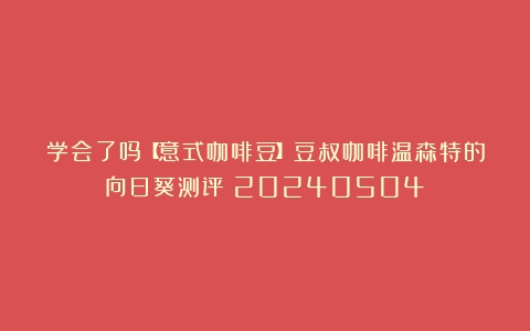 学会了吗【意式咖啡豆】豆叔咖啡温森特的向日葵测评（20240504）