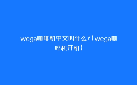 wega咖啡机中文叫什么?(wega咖啡机开机)