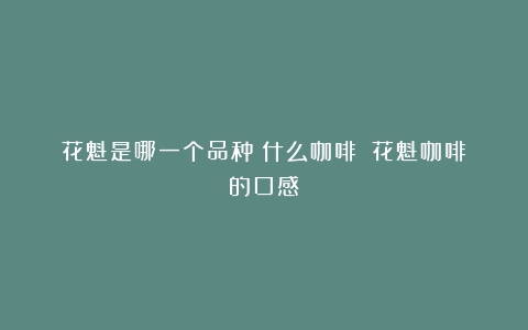 花魁是哪一个品种？什么咖啡？（花魁咖啡的口感）