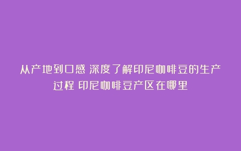 从产地到口感：深度了解印尼咖啡豆的生产过程（印尼咖啡豆产区在哪里）