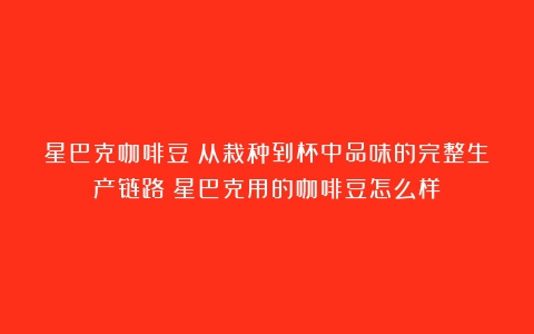 星巴克咖啡豆：从栽种到杯中品味的完整生产链路（星巴克用的咖啡豆怎么样）