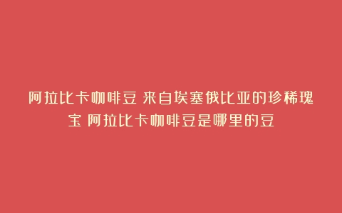 阿拉比卡咖啡豆：来自埃塞俄比亚的珍稀瑰宝（阿拉比卡咖啡豆是哪里的豆）