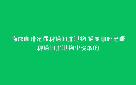 猫屎咖啡是哪种猫的排泄物（猫屎咖啡是哪种猫的排泄物中提取的）