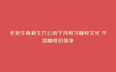 老挝华裔新生代云南宁洱研习咖啡文化（中国咖啡的故事）