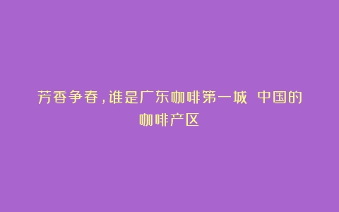 芳香争春，谁是广东咖啡第一城？（中国的咖啡产区）