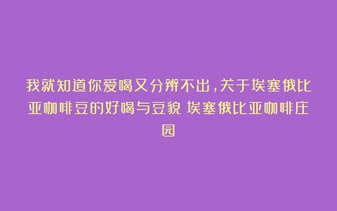 我就知道你爱喝又分辨不出，关于埃塞俄比亚咖啡豆的好喝与豆貌（埃塞俄比亚咖啡庄园）