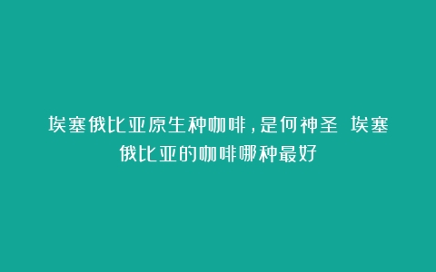 埃塞俄比亚原生种咖啡，是何神圣？（埃塞俄比亚的咖啡哪种最好）