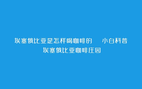 埃塞俄比亚是怎样喝咖啡的 | 小白科普（埃塞俄比亚咖啡庄园）