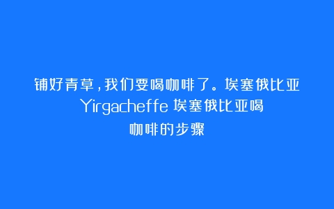 铺好青草，我们要喝咖啡了。｜埃塞俄比亚 Yirgacheffe（埃塞俄比亚喝咖啡的步骤）