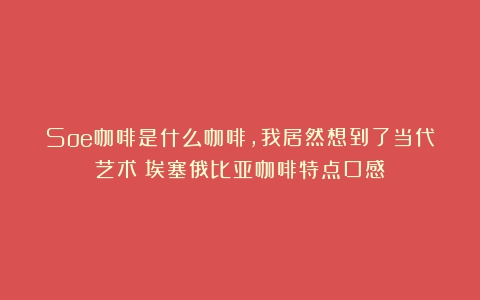 Soe咖啡是什么咖啡，我居然想到了当代艺术（埃塞俄比亚咖啡特点口感）