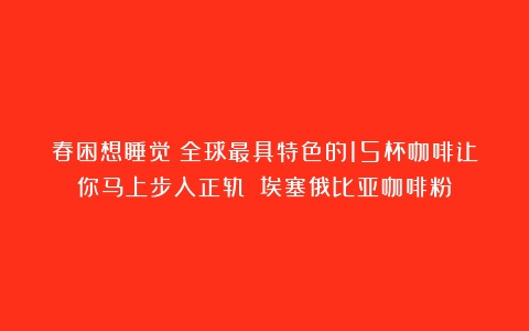 春困想睡觉？全球最具特色的15杯咖啡让你马上步入正轨！（埃塞俄比亚咖啡粉）