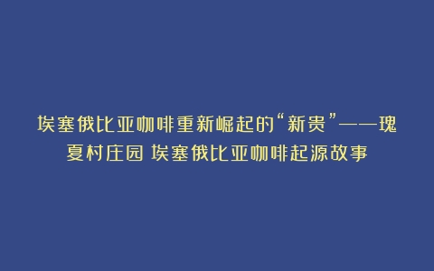 埃塞俄比亚咖啡重新崛起的“新贵”——瑰夏村庄园（埃塞俄比亚咖啡起源故事）