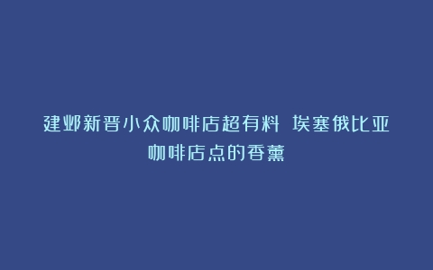 建邺新晋小众咖啡店超有料！（埃塞俄比亚咖啡店点的香薰）