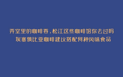 弄堂里的咖啡香，松江这些咖啡馆你去过吗？（埃塞俄比亚咖啡建议搭配何种风味食品）