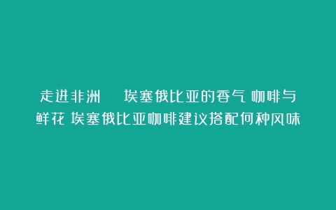 走进非洲 | 埃塞俄比亚的香气：咖啡与鲜花（埃塞俄比亚咖啡建议搭配何种风味）