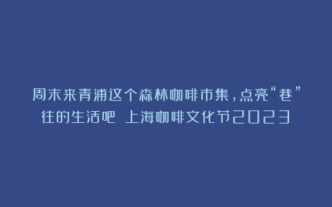 周末来青浦这个森林咖啡市集，点亮“巷”往的生活吧！（上海咖啡文化节2023）