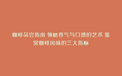 咖啡品尝指南：领略香气与口感的艺术（鉴赏咖啡风味的三大指标）