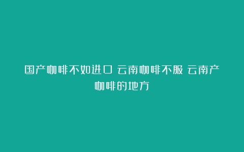 国产咖啡不如进口？云南咖啡不服（云南产咖啡的地方）