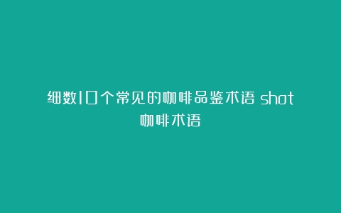 细数10个常见的咖啡品鉴术语（shot咖啡术语）